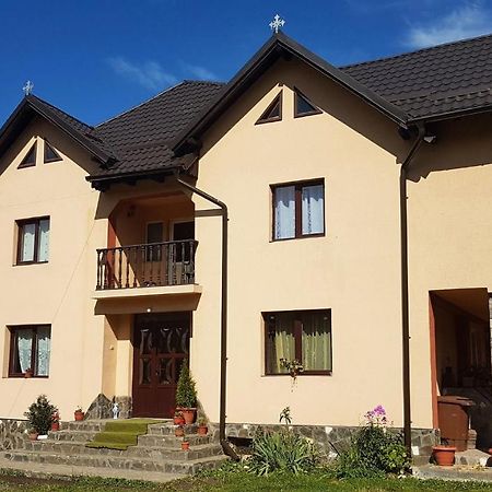 Casa Dorina Villa Bran  Exteriör bild