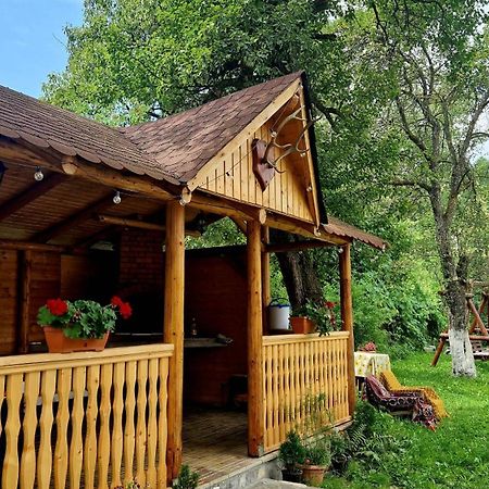 Casa Dorina Villa Bran  Exteriör bild