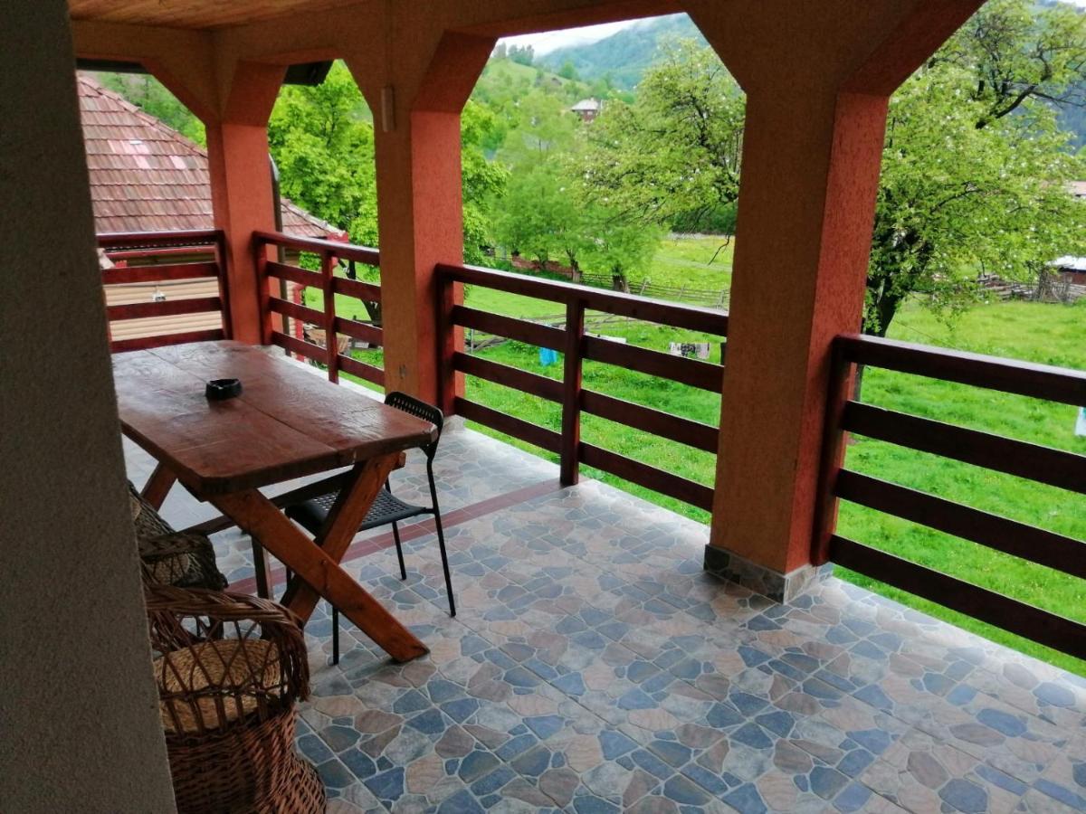 Casa Dorina Villa Bran  Exteriör bild
