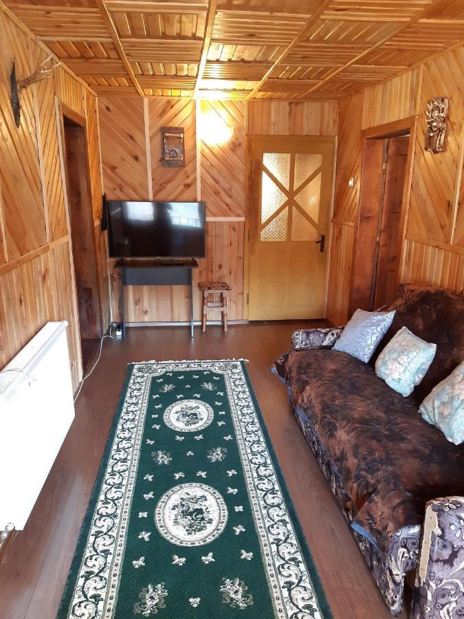 Casa Dorina Villa Bran  Exteriör bild