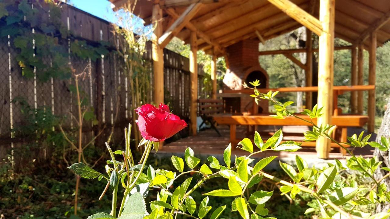 Casa Dorina Villa Bran  Exteriör bild