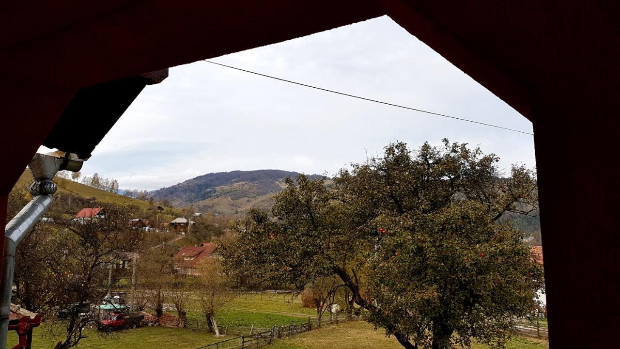 Casa Dorina Villa Bran  Exteriör bild