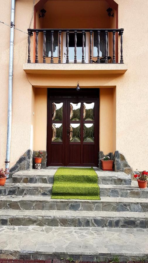 Casa Dorina Villa Bran  Exteriör bild